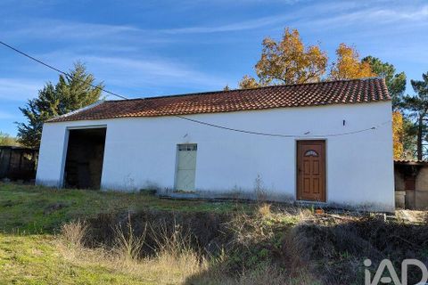 Farm i Belmonte, Castelo Branco, Belmonte - € 95.000 | Ref: 771091 - foto 4