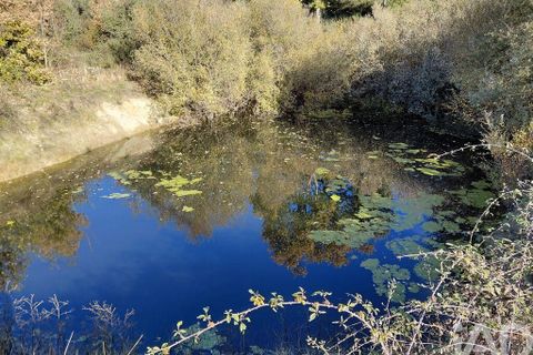 Farm i Belmonte, Castelo Branco, Belmonte - € 95.000 | Ref: 771091 - foto 9