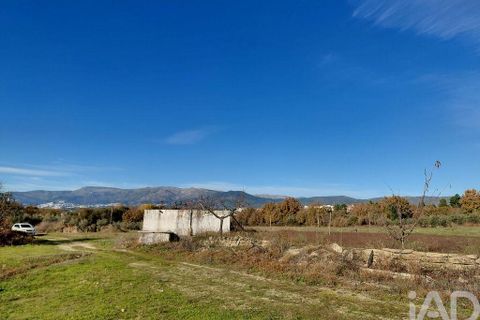 Farm i Belmonte, Castelo Branco, Belmonte - € 95.000 | Ref: 771091 - foto 11