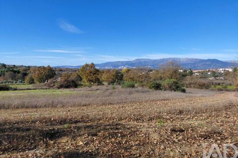 Farm i Belmonte, Castelo Branco, Belmonte - € 95.000 | Ref: 771091 - foto 12