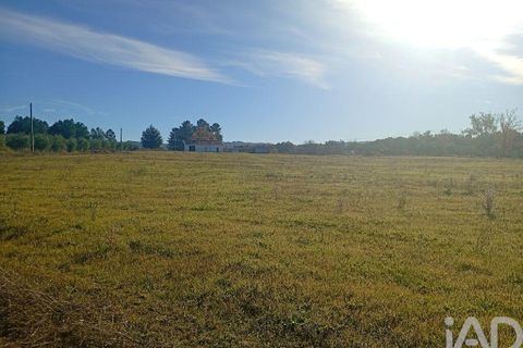 Farm i Belmonte, Castelo Branco, Belmonte - € 95.000 | Ref: 771091 - foto 13
