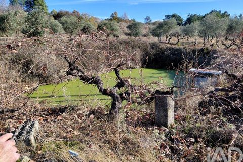 Farm i Belmonte, Castelo Branco, Belmonte - € 95.000 | Ref: 771091 - foto 14
