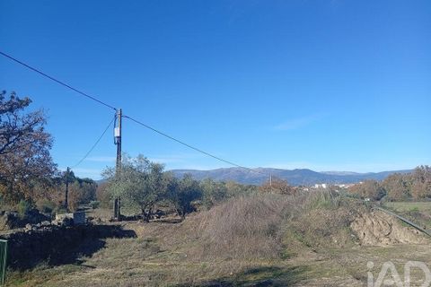 Farm i Belmonte, Castelo Branco, Belmonte - € 95.000 | Ref: 771091 - foto 16