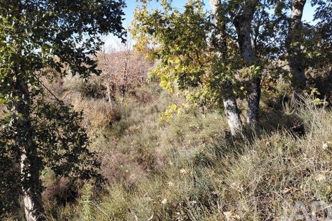 Farm i Belmonte, Castelo Branco, Belmonte - € 95.000 | Ref: 771091 - foto 18