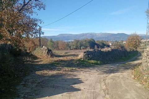 Farm i Belmonte, Castelo Branco, Belmonte - € 95.000 | Ref: 771091 - foto 19