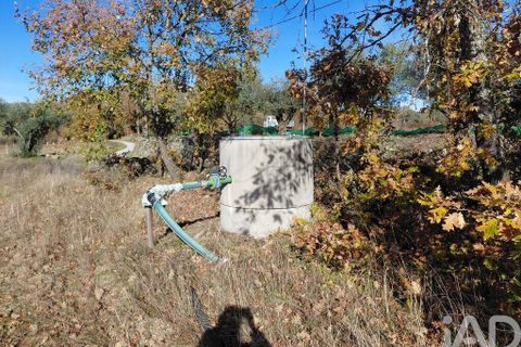 Farm i Belmonte, Castelo Branco, Belmonte - € 95.000 | Ref: 771091 - foto 21