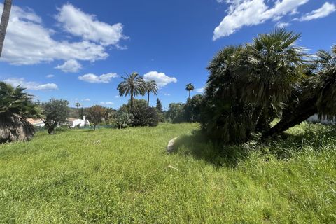Terra a Sotogrande, Cadiz, Sotogrande - € 2.100.000 | Ref: BHHS-05227 - foto 3