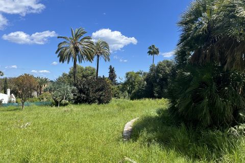 Terra a Sotogrande, Cadiz, Sotogrande - € 2.100.000 | Ref: BHHS-05227 - foto 4