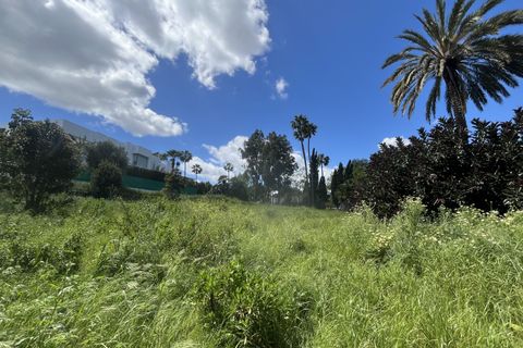 Terra a Sotogrande, Cadiz, Sotogrande - € 2.100.000 | Ref: BHHS-05227 - foto 5