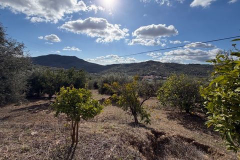 Landejendom i Alfarnatejo, Malaga, Alfarnatejo - € 129.950 | Ref: ID4407 - foto 19