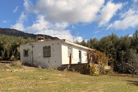 Landejendom i Alfarnatejo, Malaga, Alfarnatejo - € 129.950 | Ref: ID4407 - foto 6