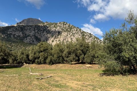 Landejendom i Alfarnatejo, Malaga, Alfarnatejo - € 129.950 | Ref: ID4407 - foto 7