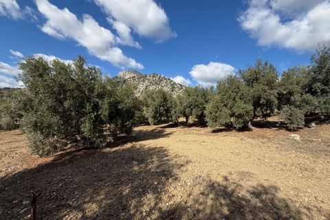 Landejendom i Alfarnatejo, Malaga, Alfarnatejo - € 129.950 | Ref: ID4407 - foto 18