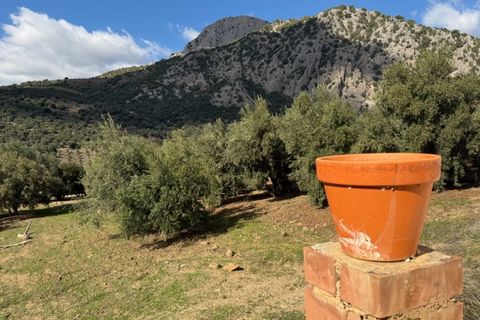 Landejendom i Alfarnatejo, Malaga, Alfarnatejo - € 129.950 | Ref: ID4407 - foto 8