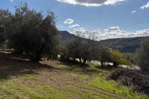 Landejendom i Alfarnatejo, Malaga, Alfarnatejo - € 129.950 | Ref: ID4407 - foto 3