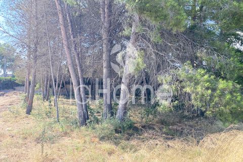 Helårsgrund i La Canada, Valencia, La Canada - € 298.000 | Ref: 1930VE - foto 6