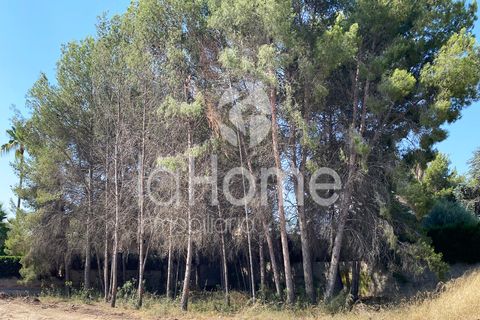 Helårsgrund i La Canada, Valencia, La Canada - € 298.000 | Ref: 1930VE - foto 4