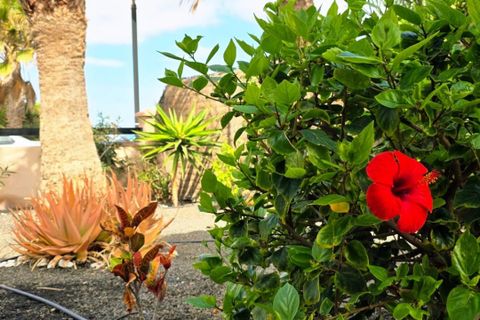 Villa i Majanicho, Fuerteventura, Majanicho - € 289.000 | Ref: 86508910 - foto 38