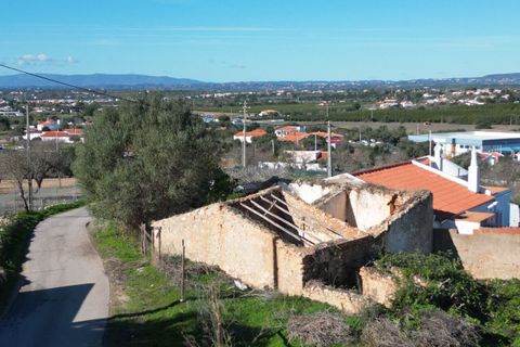 Helårsgrund i Algoz, Faro, Algoz - € 199.000 | Ref: SF-SAFTI:007466 - foto 9
