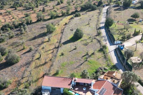 Helårsgrund i Algoz, Faro, Algoz - € 199.000 | Ref: SF-SAFTI:007466 - foto 15