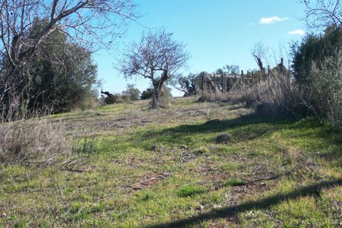 Helårsgrund i Algoz, Faro, Algoz - € 199.000 | Ref: SF-SAFTI:007466 - foto 22