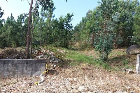 Helårsgrund i Barcelos, Braga, Barcelos - € 200.000 | Ref: 174/18 - foto 3