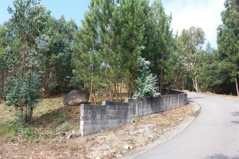 Helårsgrund i Barcelos, Braga, Barcelos - € 200.000 | Ref: 174/18 - foto 4