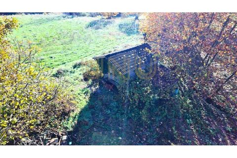 Terra a Vinhos, Braga, Vinhos - € 40.000 | Ref: UNU.I.0058.24667 - foto 2