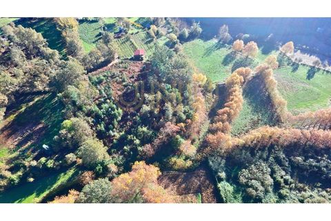 Terra a Vinhos, Braga, Vinhos - € 40.000 | Ref: UNU.I.0058.24667 - foto 3