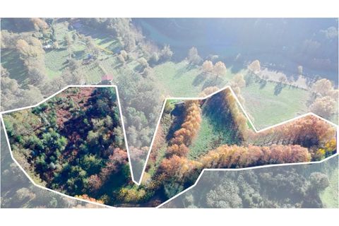 Terra a Vinhos, Braga, Vinhos - € 40.000 | Ref: UNU.I.0058.24667 - foto 6