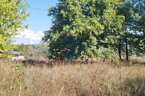 Helårsgrund i Viseu, Viseu, Viseu - € 35.000 | Ref: 2197/V - foto 2