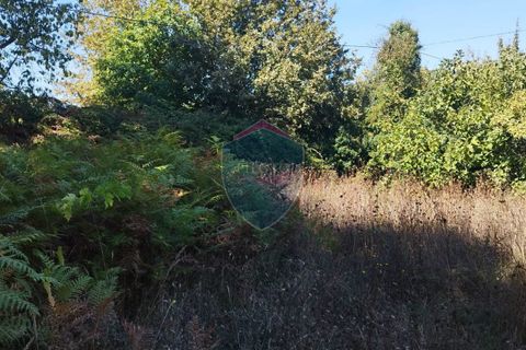 Helårsgrund i Viseu, Viseu, Viseu - € 35.000 | Ref: 2197/V - foto 3