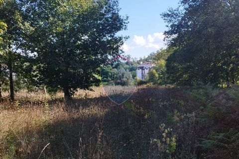 Helårsgrund i Viseu, Viseu, Viseu - € 35.000 | Ref: 2197/V - foto 4