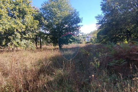 Helårsgrund i Viseu, Viseu, Viseu - € 35.000 | Ref: 2197/V - foto 8