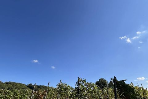 Landejendom i Rivalta Bormida, Alessandria, Rivalta Bormida - € 290.000 | Ref: 14851 - foto 8