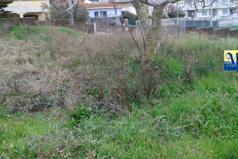 Terra a Anzio, Rome, Anzio - € 470.000 | Ref: T 48 A - foto 3
