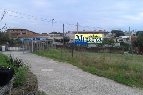 Terra a Anzio, Rome, Anzio - € 470.000 | Ref: T 48 A - foto 4