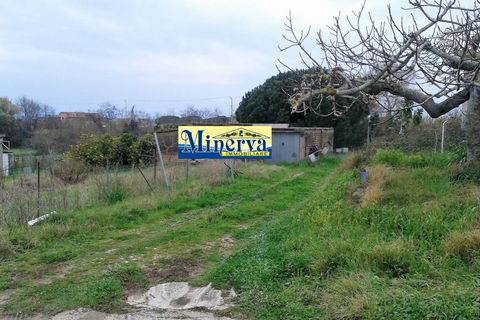 Terra a Anzio, Rome, Anzio - € 470.000 | Ref: T 48 A - foto 5