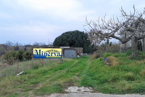 Terra a Anzio, Rome, Anzio - € 470.000 | Ref: T 48 A - foto 6