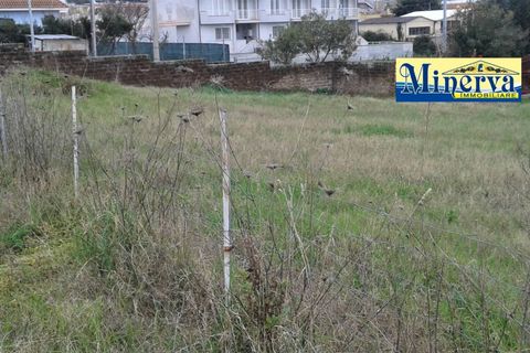 Terra a Anzio, Rome, Anzio - € 470.000 | Ref: T 48 A - foto 7