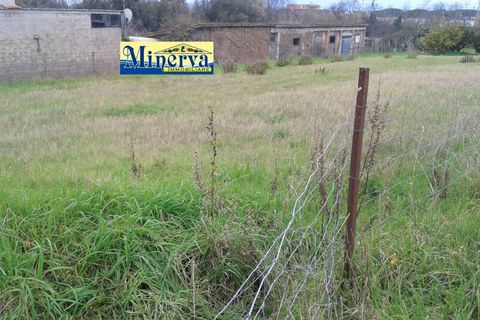 Terra a Anzio, Rome, Anzio - € 470.000 | Ref: T 48 A - foto 8