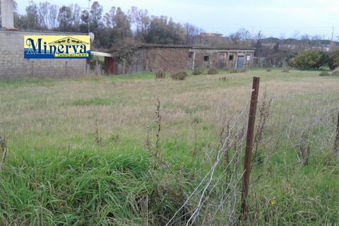 Terra a Anzio, Rome, Anzio - € 470.000 | Ref: T 48 A - foto 9