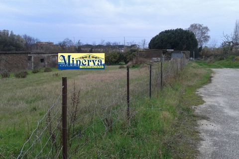 Terra a Anzio, Rome, Anzio - € 470.000 | Ref: T 48 A - foto 10
