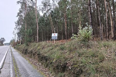 Helårsgrund i Eixo e Eirol, Aveiro, Eixo e Eirol - € 128.000 | Ref: AV25/209 - foto 1