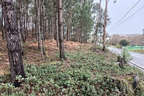 Helårsgrund i Eixo e Eirol, Aveiro, Eixo e Eirol - € 128.000 | Ref: AV25/209 - foto 3