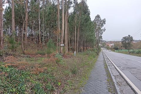 Helårsgrund i Eixo e Eirol, Aveiro, Eixo e Eirol - € 128.000 | Ref: AV25/209 - foto 4
