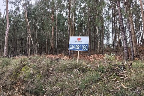 Helårsgrund i Eixo e Eirol, Aveiro, Eixo e Eirol - € 128.000 | Ref: AV25/209 - foto 5