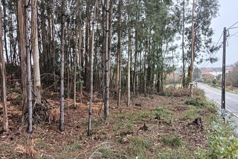 Helårsgrund i Eixo e Eirol, Aveiro, Eixo e Eirol - € 128.000 | Ref: AV25/209 - foto 7