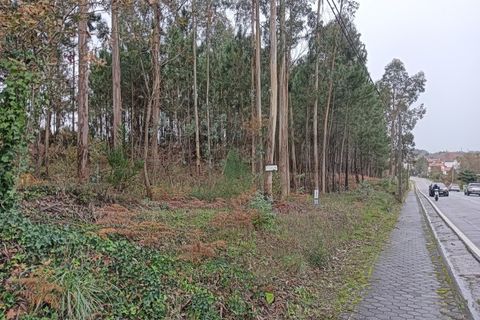 Helårsgrund i Eixo e Eirol, Aveiro, Eixo e Eirol - € 128.000 | Ref: AV25/209 - foto 8