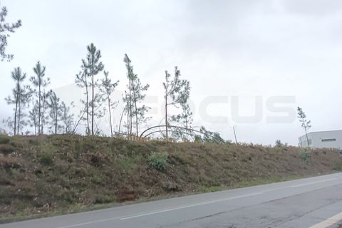 Helårsgrund i Eixo e Eirol, Aveiro, Eixo e Eirol - € 128.000 | Ref: AV25/209 - foto 10